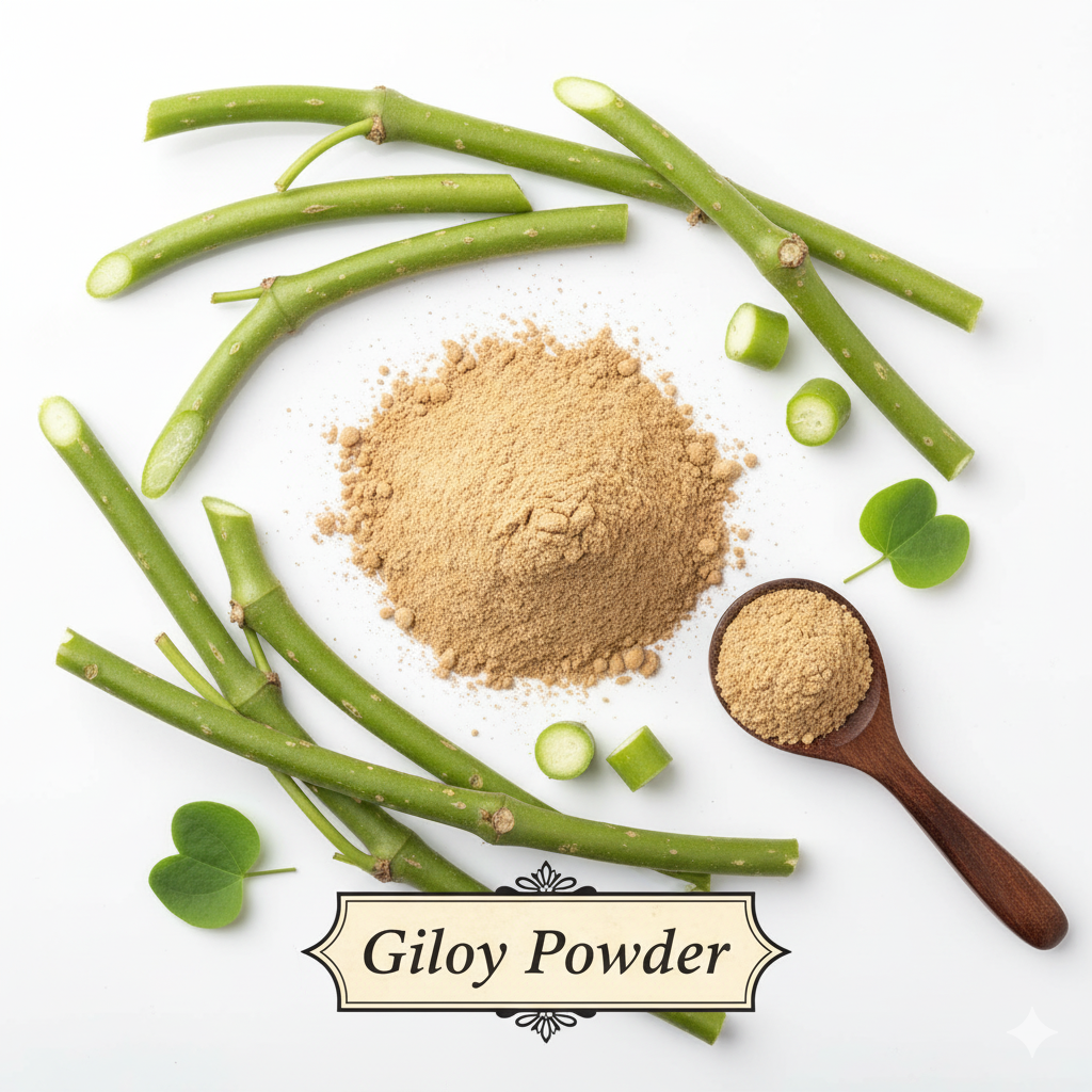 Giloy Powder