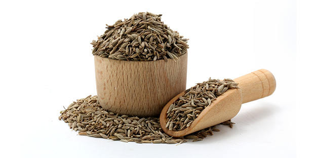 Cumin Seeds (Oil Seeds)