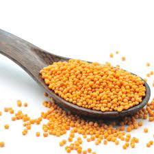 Mustard Seeds (Oil Seeds)