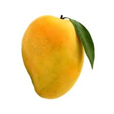 Mango (Kesar / Alphonso)