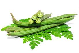 Drumstick (Moringa Pods)